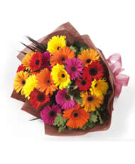 Kaleidoscope Gerbera's